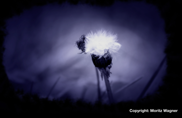 b2ap3_medium_Bildschirmfoto-2022-07-30-um-22.20.14